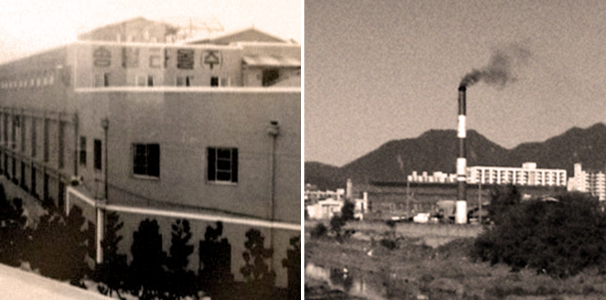 Songwol và định hướng phát triển bền vững từ những ngày đầu tiên